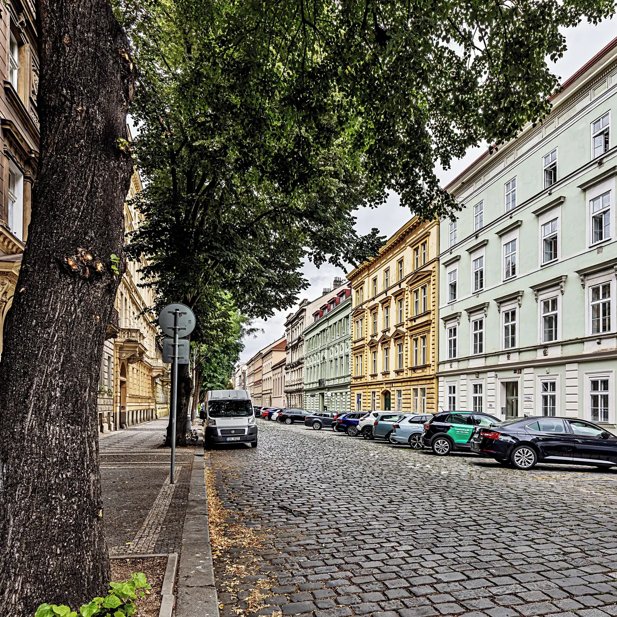 Pronájem kanceláře 182 m²